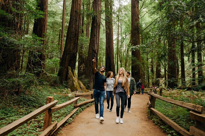 San Francisco to Muir Woods Shuttle - Photo 1 of 14